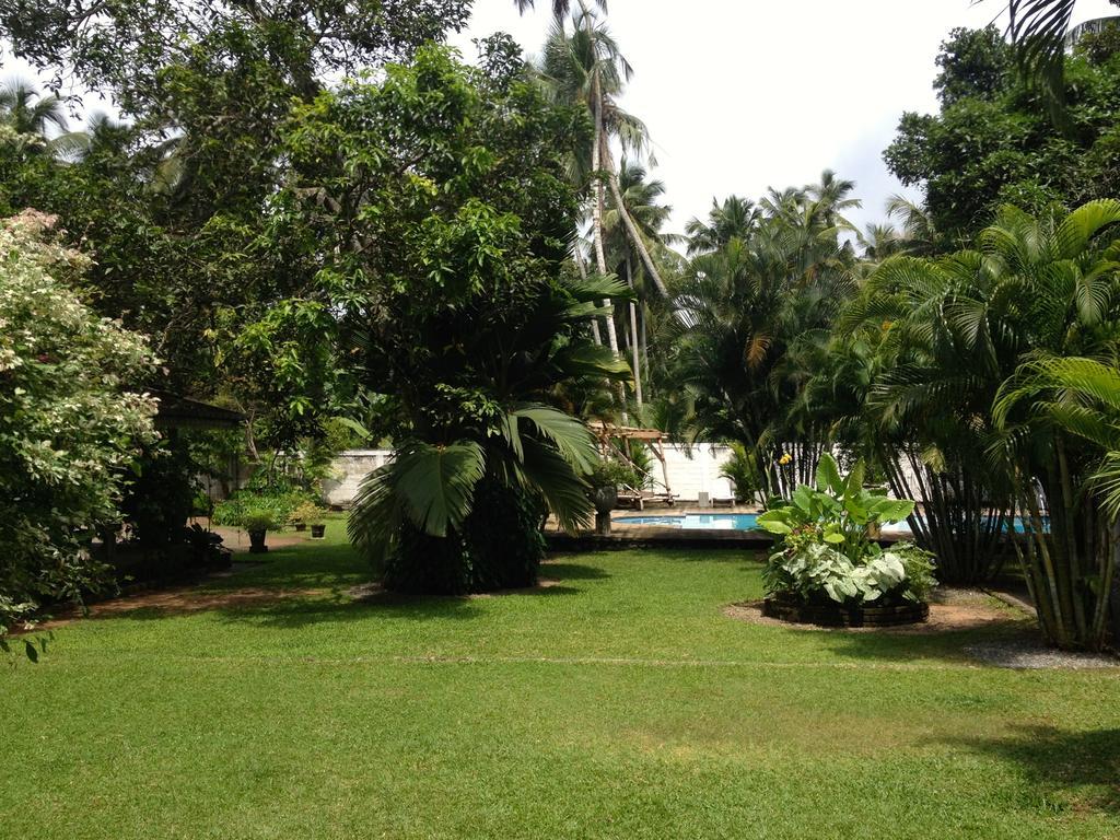 Fire Dragon Hideaway Negombo Exterior foto