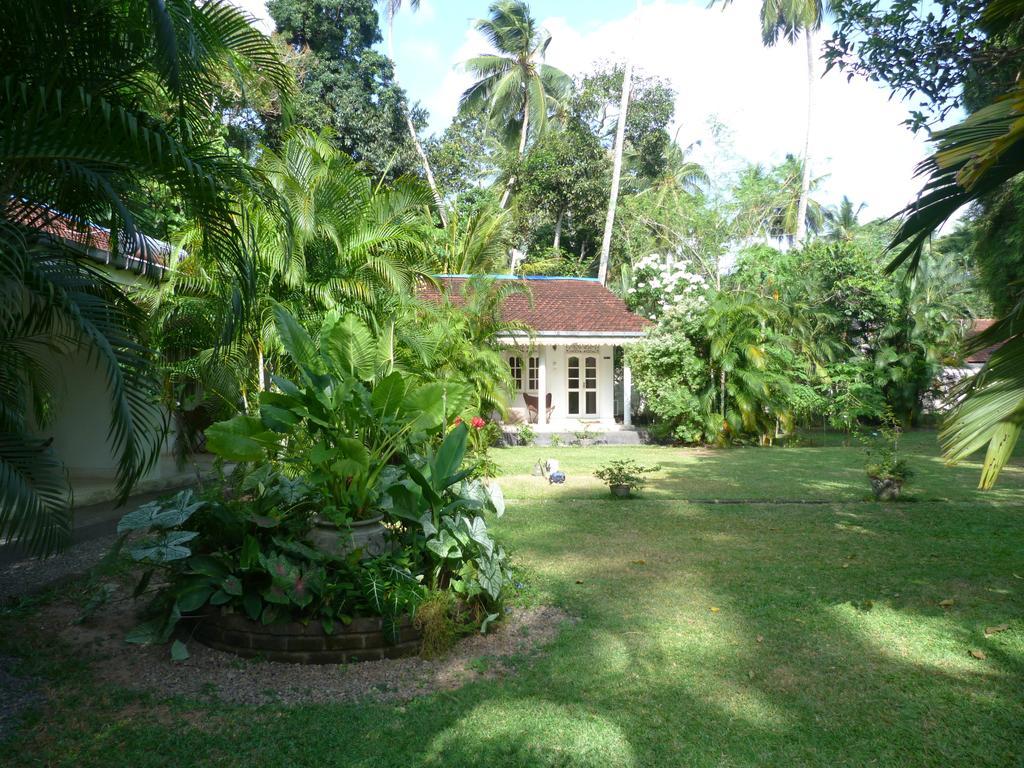 Fire Dragon Hideaway Negombo Exterior foto