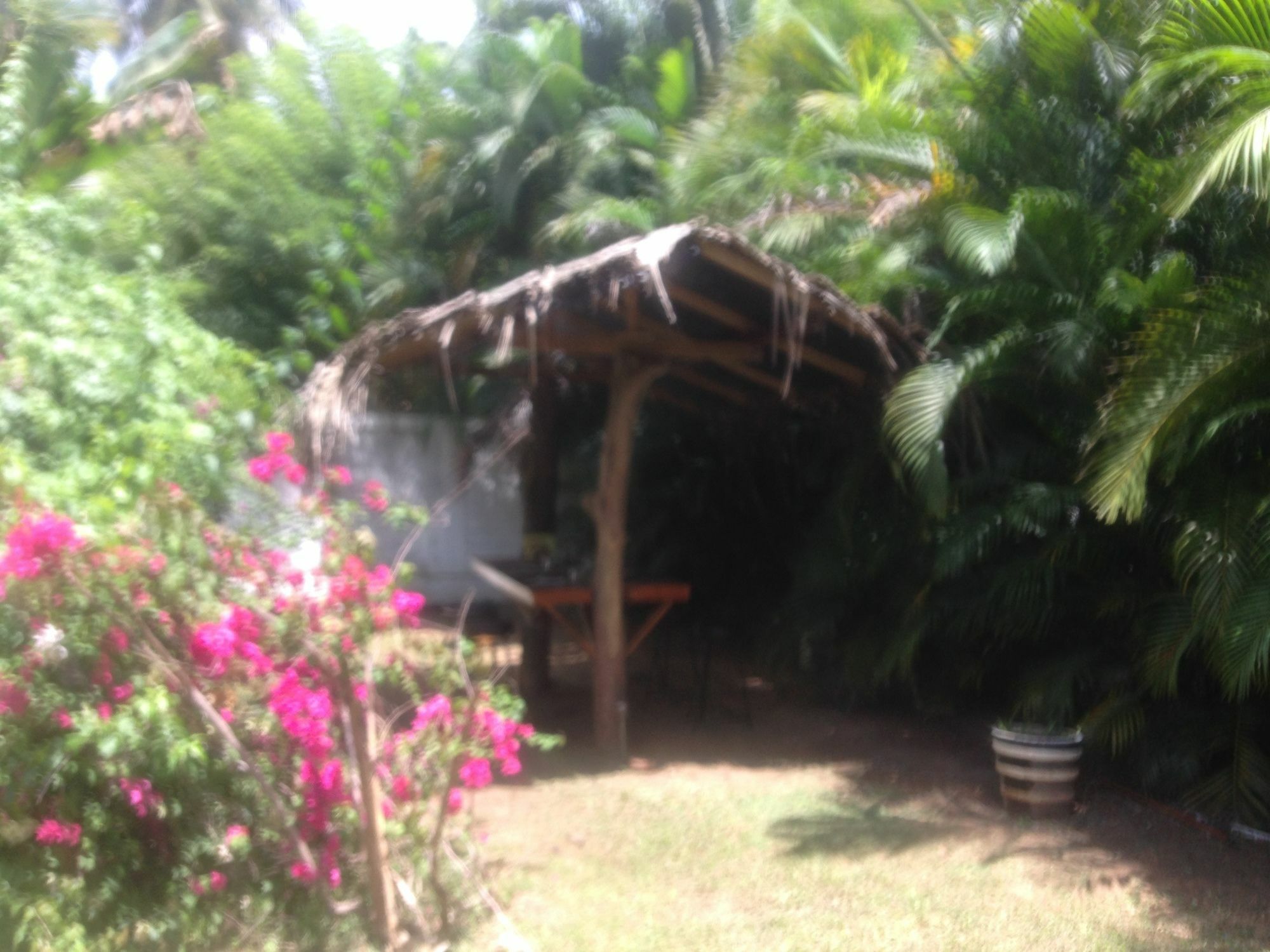 Fire Dragon Hideaway Negombo Exterior foto
